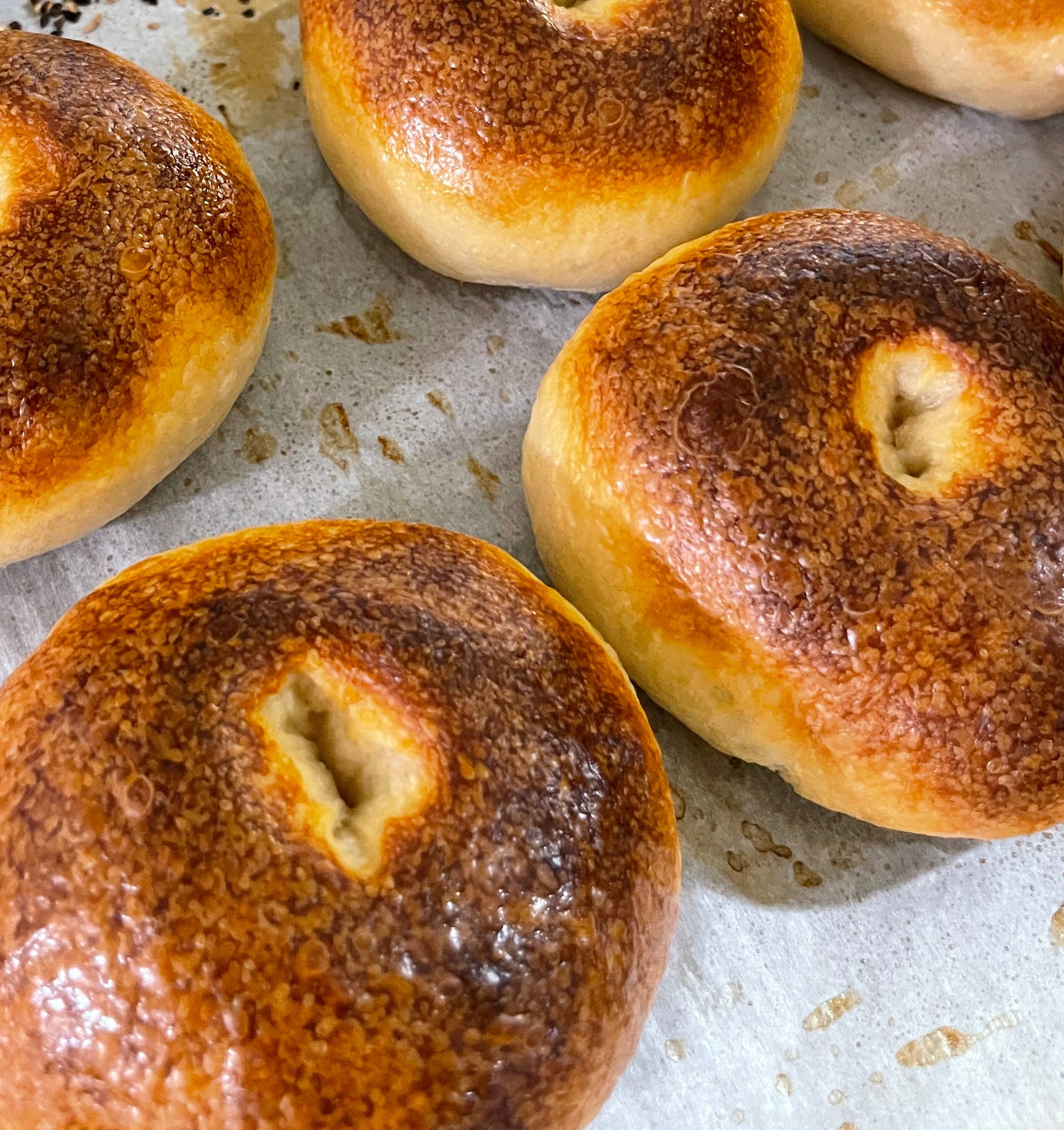 Sourdough Bagels - Plain