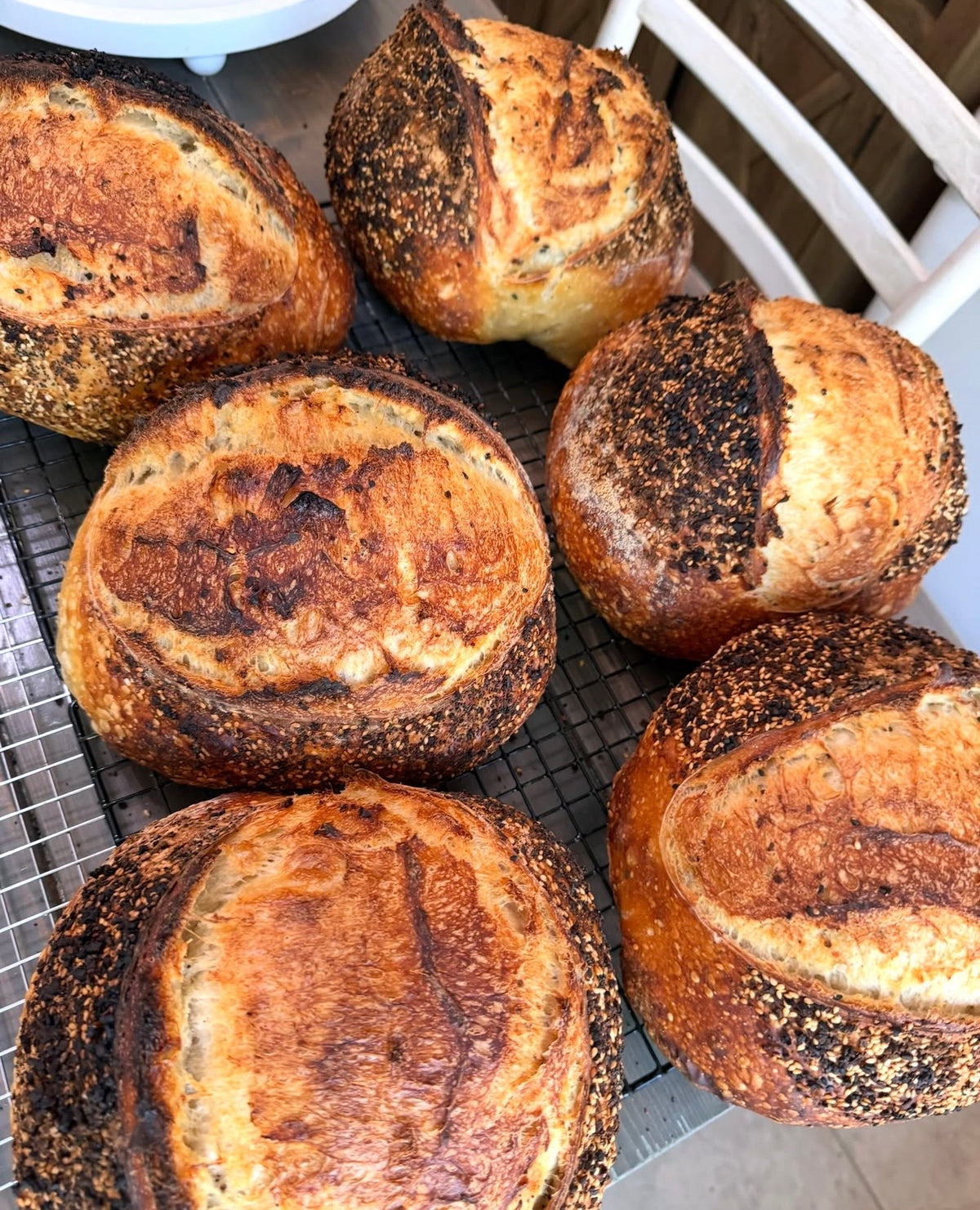 Everything Bagel