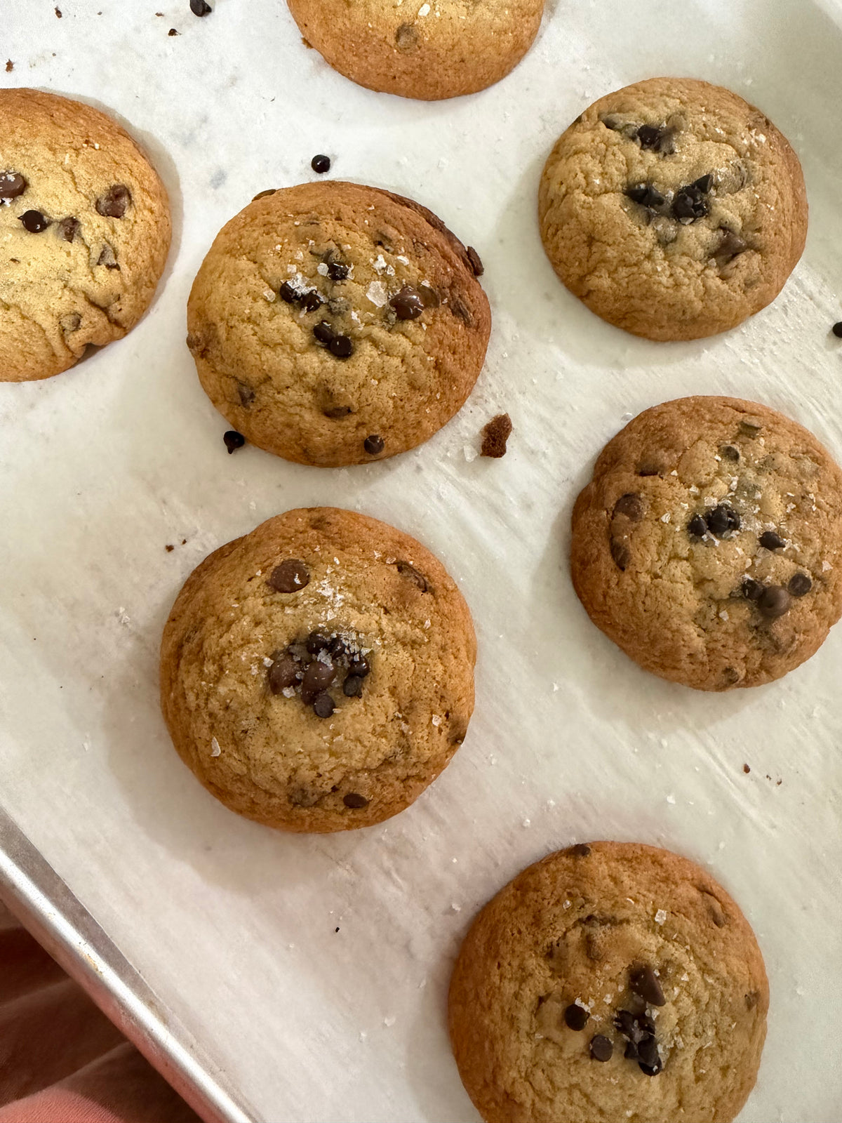 Sourdough Chocolate Chip Cookies (6 pack)